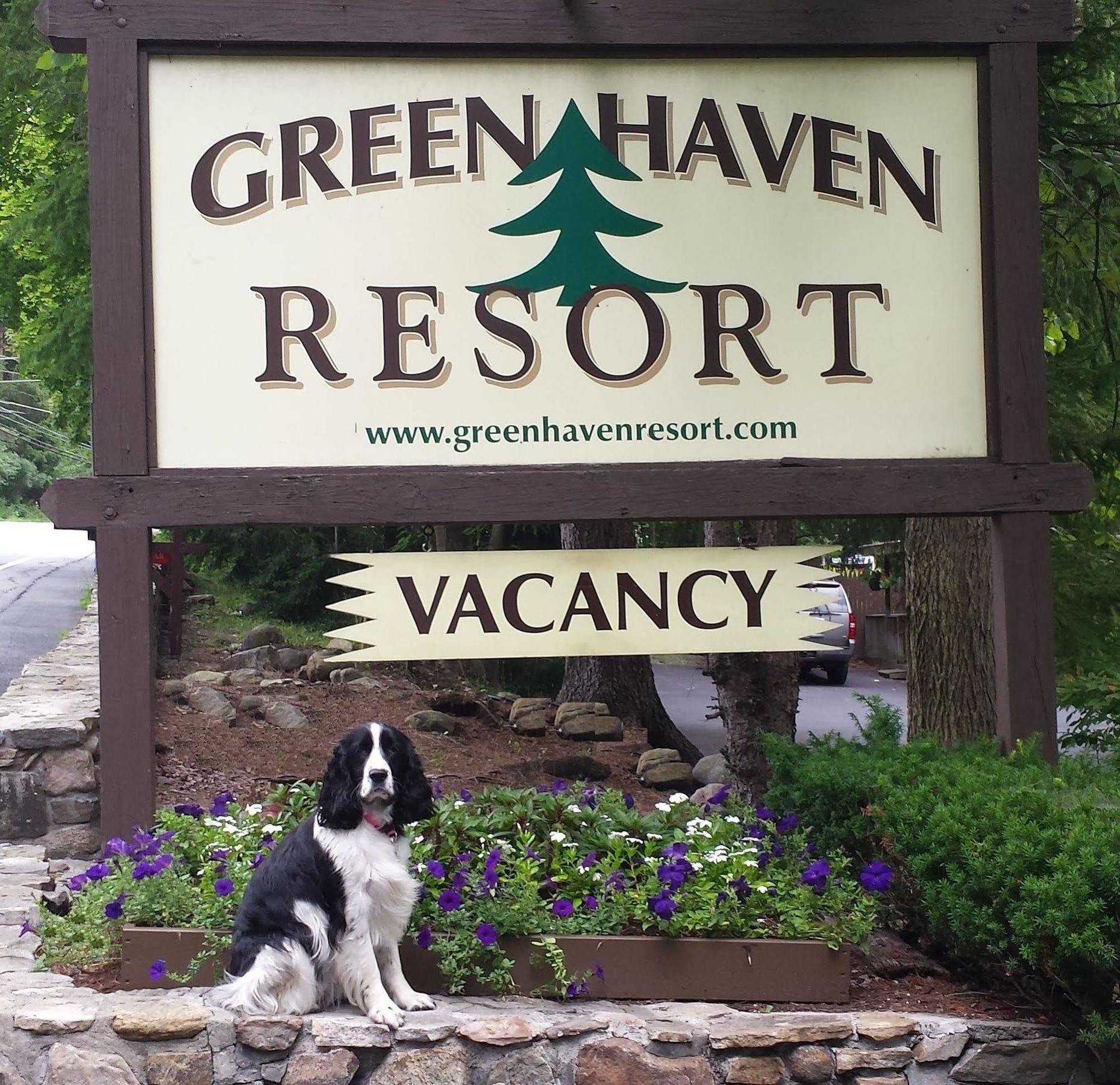 Green Haven Resort Lake George Exterior photo
